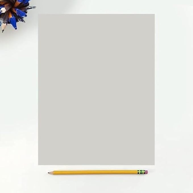 Colored Copy Paper, 20 LB 8.5 X 11, 500 Sheets (Grey)