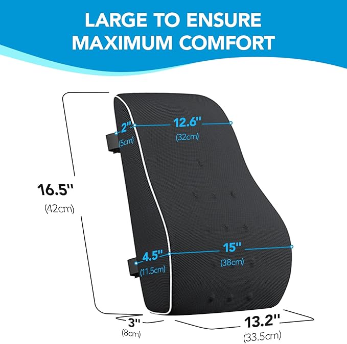 QUTOOL Lumbar Support Pillow for Office Chair Back Support Pillow for Car, Computer, Gaming Chair Memory Foam Back Cushion for Back Pain Relief Improve Posture, Mesh Cover Double Adjustable Straps