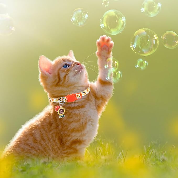 SCENEREAL Breakaway Cat Collar with Bells, Safety Buckle Soft Adjustable Cats Collars for Spring Summer Daily Wearing, Kitten Puppy Pink Personalised Collars for Dogs Girl Boy
