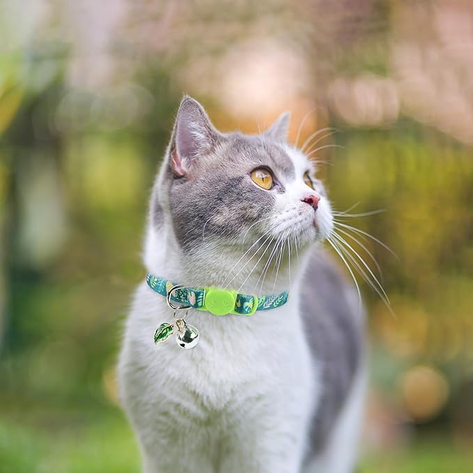 SCENEREAL Breakaway Cat Collars with Bell, 3 Pack Adjustable Safety Cat Collar for Boy and Girl Cats, Pink Cat Collar, Cute Kitten Collar for Kitty Puppy Small Pets