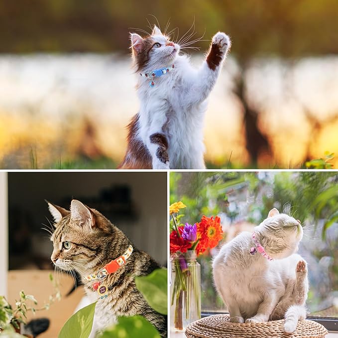 SCENEREAL Breakaway Cat Collar with Bells, Safety Buckle Soft Adjustable Cats Collars for Spring Summer Daily Wearing, Kitten Puppy Pink Personalised Collars for Dogs Girl Boy