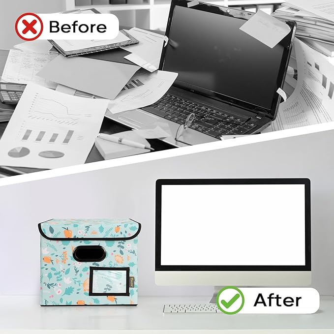 BALEINE File Organizer Box with Lid, Collapsible File Folder Organizer with Plastic Slide, Hanging File Folder Box for Office Document Storage (1 Pack, Spring Stroll)