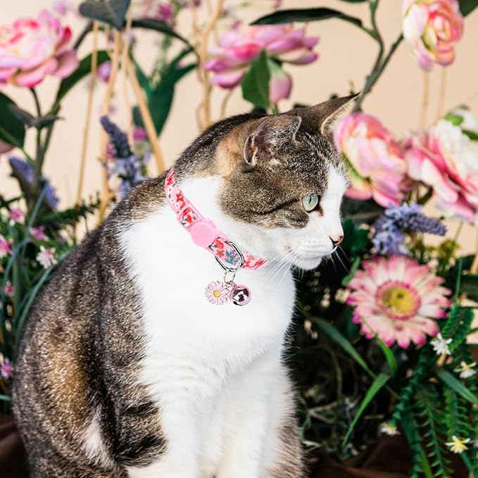 SCENEREAL Cute Cat Collars with Bells Breakaway, 4 Pack Floral Daisy Pendant Spring Summer Pet Collar for Girl Boy Cats, Adjustable Safety Pink Kitten Puppy Collars Flowers Set Size 8-12"