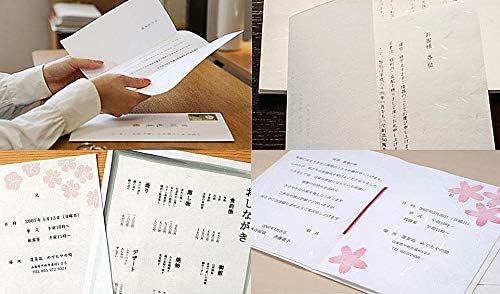 Washi Paper Printable A4 Printer Paper (100 Sheets), TAIREISHI Japanese Paper for Printing, Multipurpose Copy Paper for Laser and Inkjet Printers, Made in JAPAN (47301)