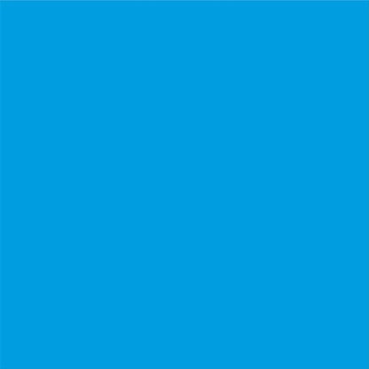 PARLAIM 3/4 Inch Round Permanent Adhesive Color-Code Dot Stickers,1000 Stickers Roll dots Label Dispenser Box Green Circle Stickers Labels (Blue)
