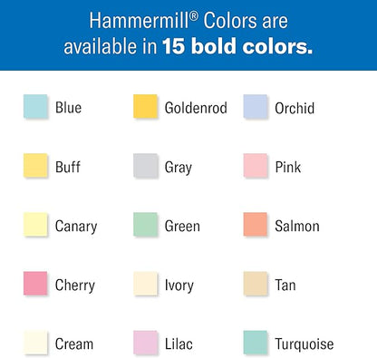 Hammermill Colored Paper, 24 lb Salmon Printer Paper, 8.5 x 11-1 Ream (500 Sheets) - Made in the USA, Pastel Paper, 103120R