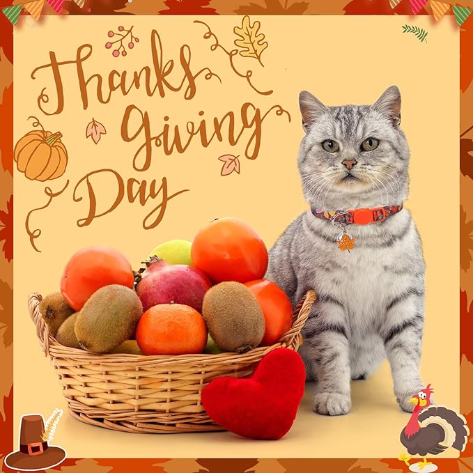 SCENEREAL Thanksgiving Day Breakaway Cat Collar with Bells, Safety Buckle Soft Adjustable Cats Collars for Daily Wearing, Kitten Puppy Personalised Collars for Dogs Girl Boy