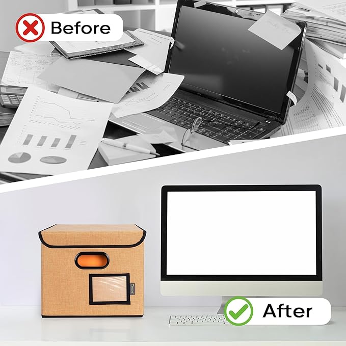 BALEINE File Organizer Box with Lid, Collapsible File Folder Organizer with Plastic Slide, Hanging File Folder Box for Office Document Storage (1 Pack, Orange)