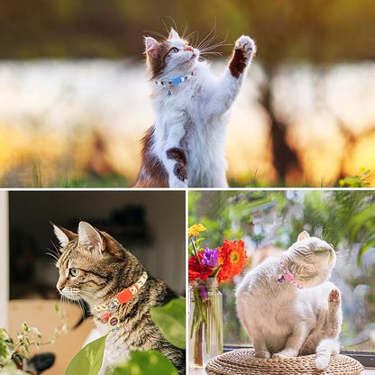 SCENEREAL Breakaway Cat Collar with Bells, Safety Buckle Soft Adjustable Cats Collars for Spring Summer Daily Wearing, Kitten Puppy Pink Personalised Collars for Dogs Girl Boy