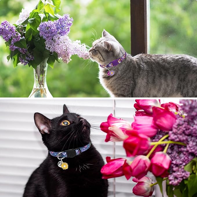 SCENEREAL Cute Cat Collars with Bells Breakaway, 4 Pack Floral Daisy Pendant Spring Summer Pet Collar for Girl Boy Cats, Adjustable Safety Pink Kitten Puppy Collars Flowers Set Size 8-12"