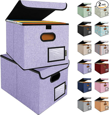 BALEINE File Organizer Box with Lid, Collapsible File Folder Organizer with Plastic Slide, Hanging File Folder Box for Office Document Storage (2 Pack, Purple)