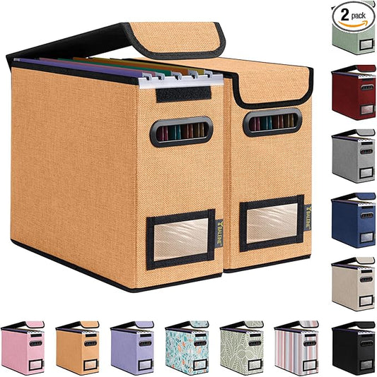BALEINE File Organizer Box with Lid, Collapsible File Folder Organizer with Plastic Slide, Hanging File Folder Box for Office Document Storage (2 Pack, Orange, S)