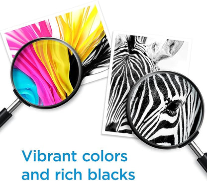 HP 67XL Black High-yield Ink Cartridge | Works with HP DeskJet 1255, 2700, 4100 Series, HP ENVY 6000, 6400 Series | Eligible for Instant Ink | One Size | 3YM57AN