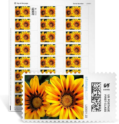 Treasure Flowers NetStamps 120-Pack (5 Sheets) Printable Postage Labels (Stamps.com Subscription Required) - Print Approved Postage - Inkjet & Laser Printers - Business, Personal, Home